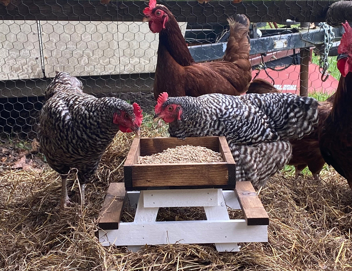Chicknic Table/Bird Feeder/ Squirrel Feeder